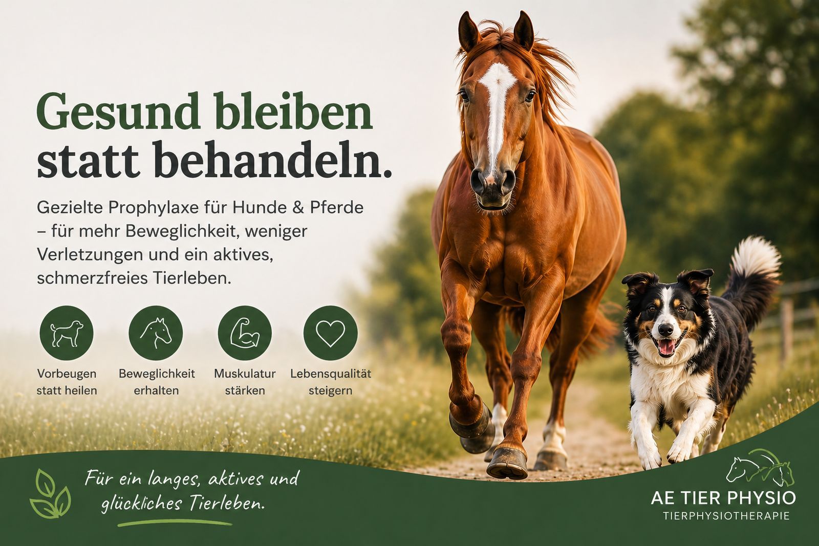 Prophylaxe und Vorbeugung