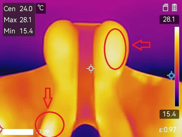 Thermografie Sattel. Ungleiche Wärmeverteilung zeigt asymmetrische Belastung