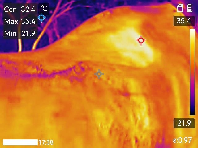 Sattelthermographie für Pferd u. Ausrüstung