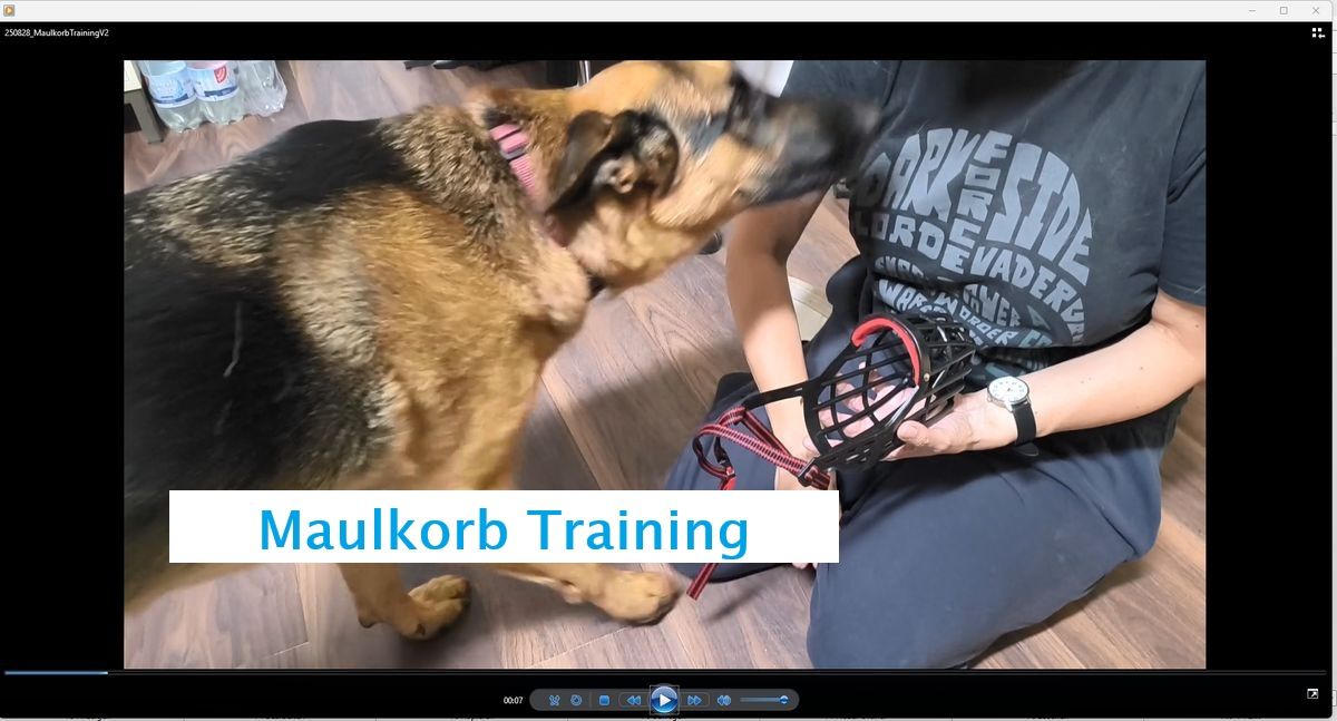 Maulkorb Training beim Hund